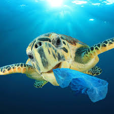 Bioplastics international