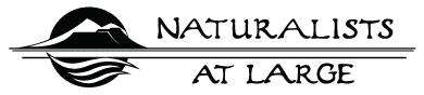 Naturalists at Large