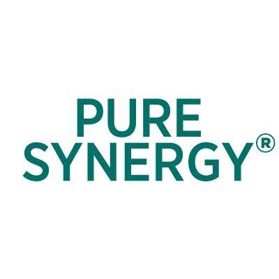The Synergy Company