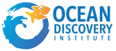 Ocean Discovery Institute