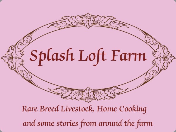 Splash Loft Farm & Apiary