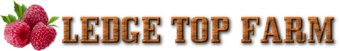 Ledge Top Farm