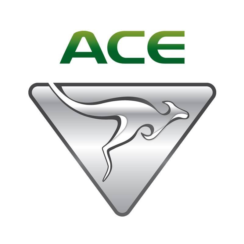 ACE EV Group