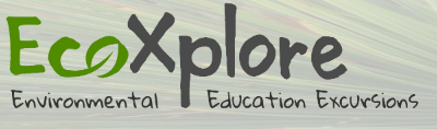 EcoXplore