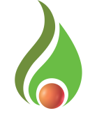 Wilmaf Energy