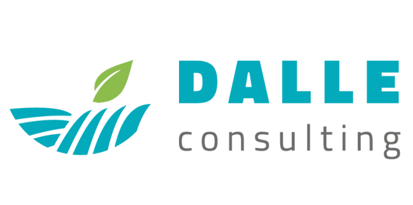 Dalle Consulting