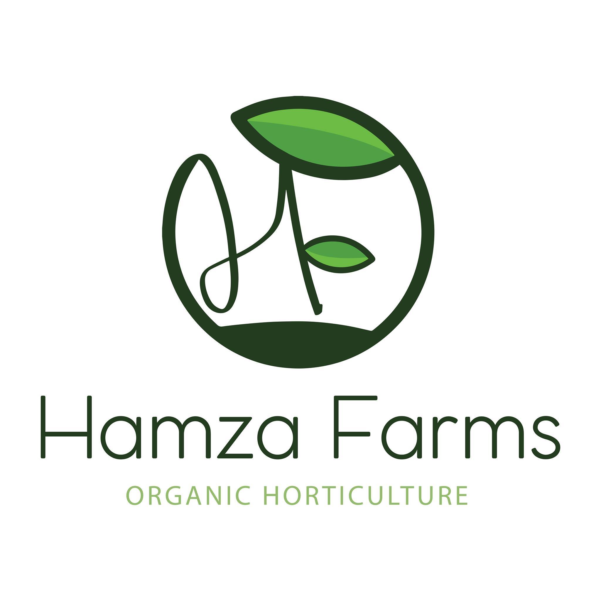 Hamza Farms