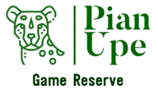 Pian Upe Game Reserve