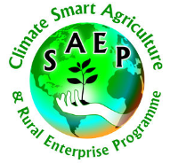 Climate Smart Agriculture & Rural Enterprise Programme -SAEP