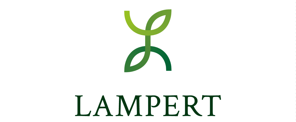 Werner Lampert Beratungsgesellschaft