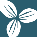 Ontario Environmental Industry Association
