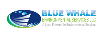 Blue Whale Environment Services LLC
