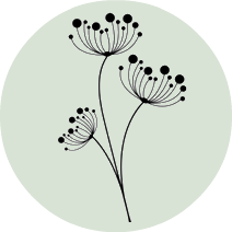 eCo Consulting Cosmetics