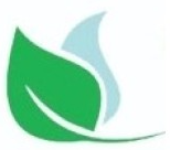 Green Yasin