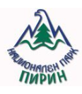 Pirin National Park