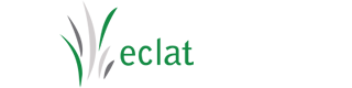 Eclat Consult/Group Ltd