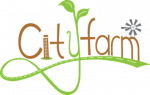 City Farm: Productos orgánicos y artesanales