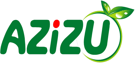 Azizu Recycling Company