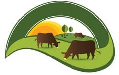 Al AANIG Agricultural Project