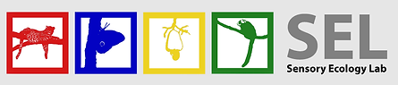 Sensory Ecology Lab, UFRN, Brazil