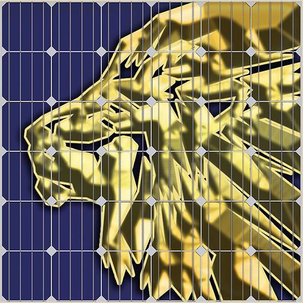Multi Solar LCC