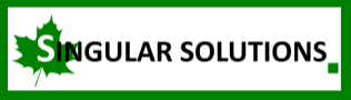 Singular Solutions Inc.