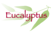 EUCALYPTUS Cote d'Ivoire