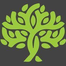Green Plus Environmental Solutions