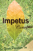 Impetus Conceptus Pte Ltd