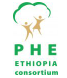 PHE Ethiopia Consortium
