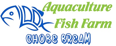 Chobe Bream - Aquaculture Fish Farm