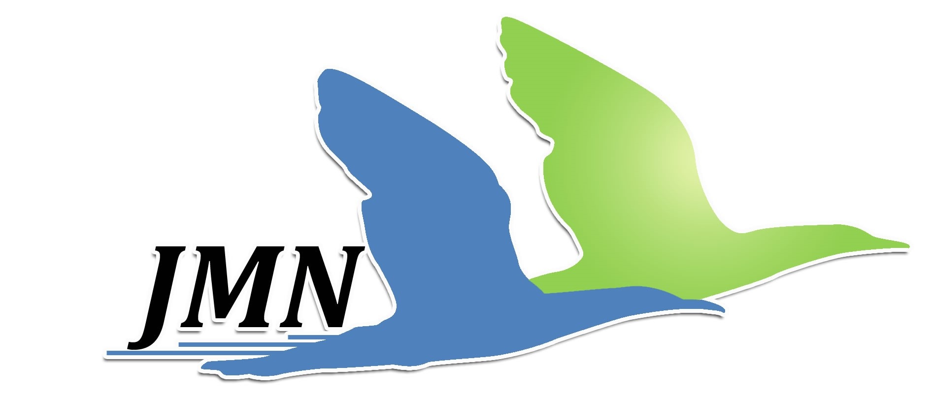 JMN Consultant