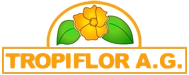 Tropiflor A.G.