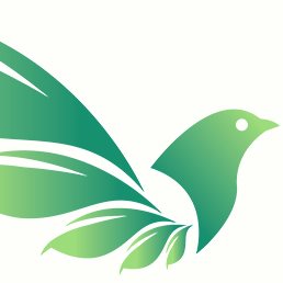 PNG Environmental Services