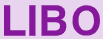 Libo Cosmetics