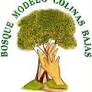 Bosque Modelo Colinas Bajas