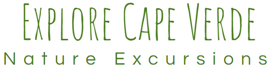 Explore Cape Verde