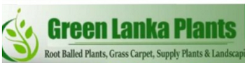 Green Lanka Plantsv