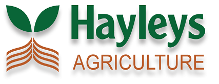 Hayleys B-Onion Seed Farm
