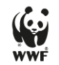 WWF - Organización Mundial de Conservación - Paraguay