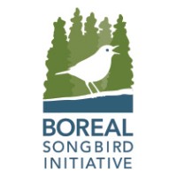 Boreal Songbird Initiative (BSI)