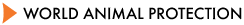 World Animal Protection Canada