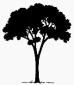 Guyana Conservation Network (GuyCoN)