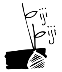 Biji-biji Initiative