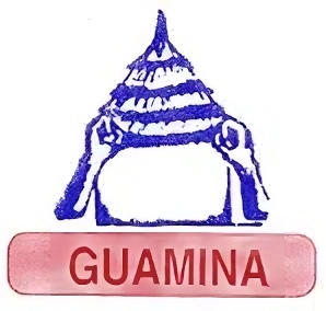 Friends of the Earth Mali / Guamina