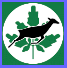 Fundación Guáquira