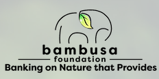 Bambusa Foundation