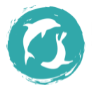 Australian Marine Mammals Conservation Foundation Ltd