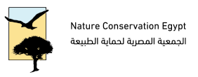 Nature Conservation Egypt (NCE)