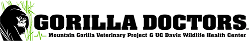 Gorilla Doctors DRC